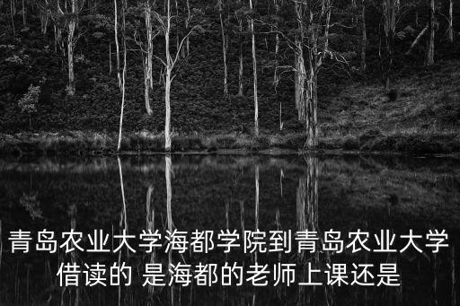 青島農業大學海都學院到青島農業大學借讀的 是海都的老師上課還是