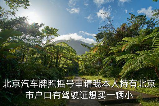 北京汽車牌照搖號申請我本人持有北京市戶口有駕駛證想買一輛小