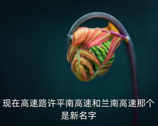 現(xiàn)在高速路許平南高速和蘭南高速那個(gè)是新名字