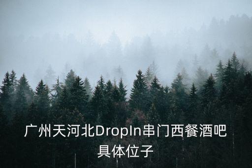 廣州天河北DropIn串門西餐酒吧具體位子
