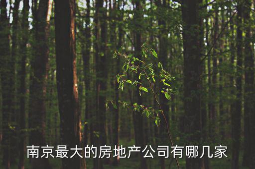 南京最大的房地產公司有哪幾家