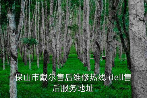 保山市戴爾售后維修熱線 dell售后服務地址