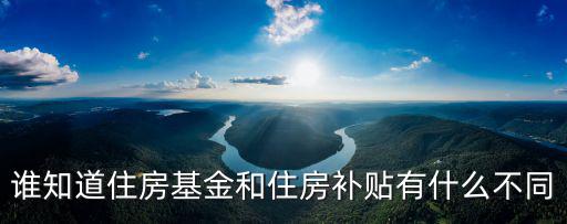 誰知道住房基金和住房補貼有什么不同
