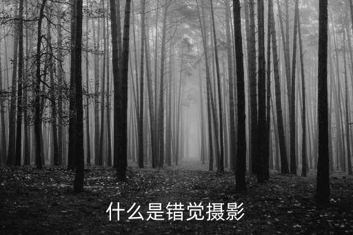 錯覺攝影，錯位攝影如何拍攝利用人眼睛的視錯覺