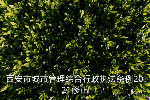 西安市城市管理綜合行政執法條例2021修正