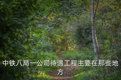 中鐵八局一公司待遇工程主要在那些地方