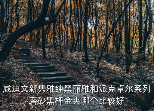 威迪文新雋雅純黑麗雅和派克卓爾系列磨砂黑桿金夾哪個比較好