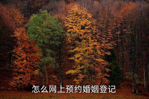 結(jié)婚登記網(wǎng)上預(yù)約，結(jié)婚登記網(wǎng)上預(yù)約以后還用當(dāng)天去嗎