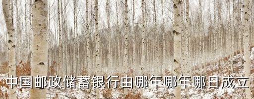 中國郵政儲蓄銀行由哪年哪年哪日成立