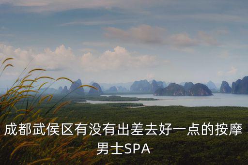 成都武侯區有沒有出差去好一點的按摩男士SPA