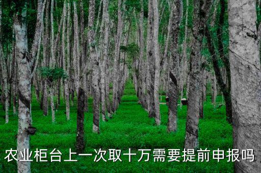 農業柜臺上一次取十萬需要提前申報嗎