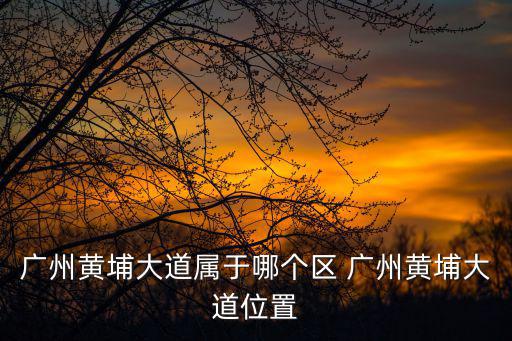 黃埔大道，黃埔大道屬于哪個區