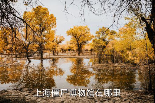 上海僵尸博物館在哪里