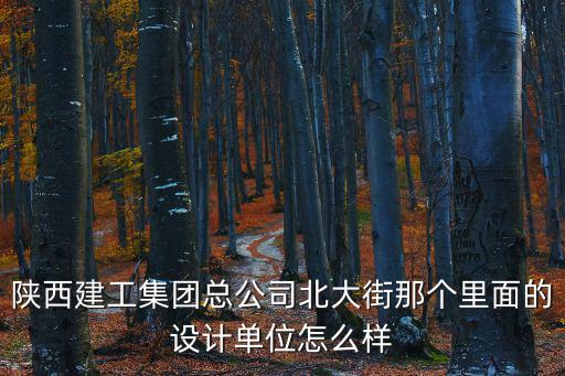 陜西建工集團，陜西建工集團總公司北大街那個里面的設計單位怎么樣