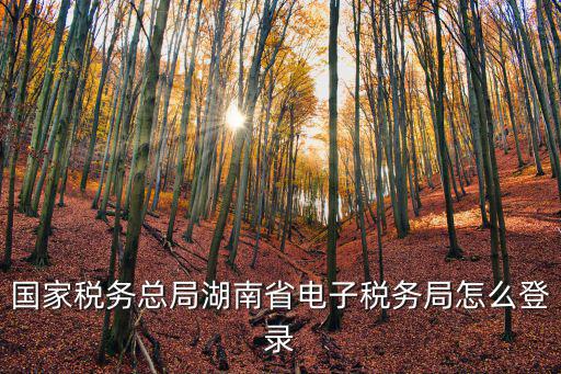 國(guó)家稅務(wù)總局湖南省電子稅務(wù)局怎么登錄