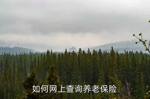 如何網上查詢養老保險