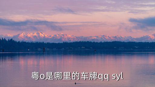 粵o是哪里的車牌qq syl