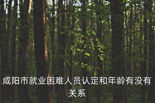 就業困難人員認定，就業困難人員具體指哪些人