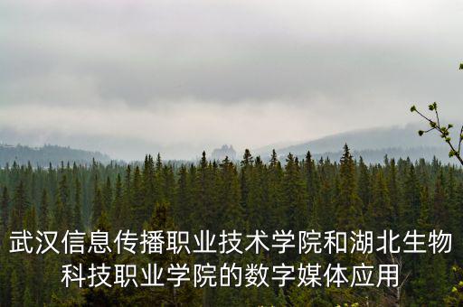 武漢信息傳播職業(yè)技術學院官網(wǎng)，急誰知道淮安信息職業(yè)技術學院的專業(yè)代碼
