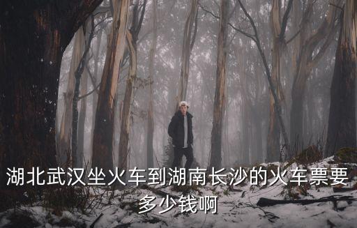 湖北武漢坐火車到湖南長沙的火車票要多少錢啊