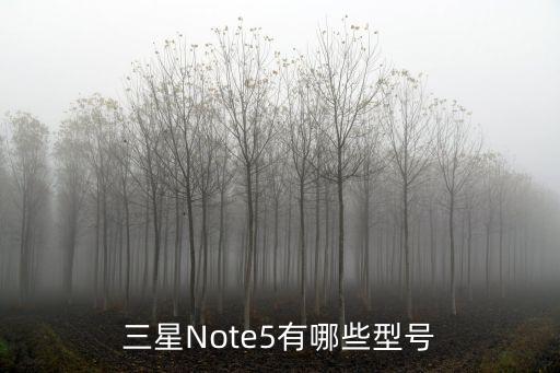 三星note5，三星Note5有哪些型號