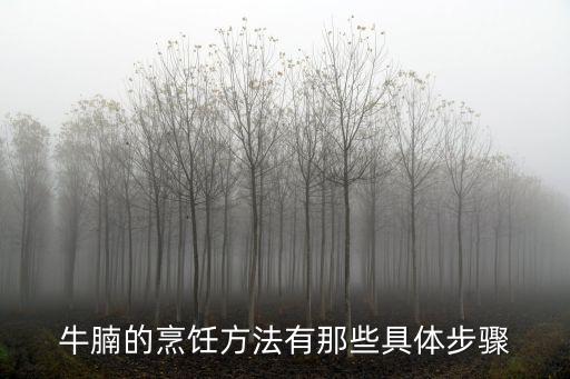 牛腩的烹飪方法有那些具體步驟