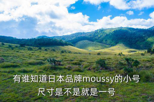 有誰知道日本品牌moussy的小號(hào)尺寸是不是就是一號(hào)