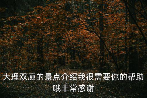大理雙廊的景點(diǎn)介紹我很需要你的幫助哦非常感謝