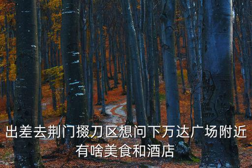 出差去荊門掇刀區想問下萬達廣場附近有啥美食和酒店