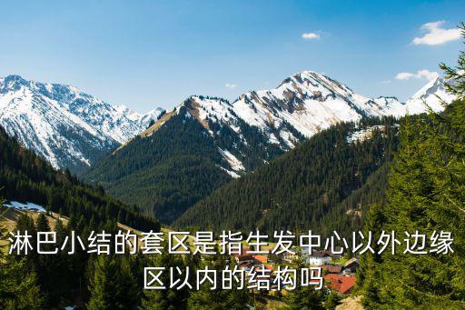生發中心，淋巴小結的套區是指生發中心以外邊緣區以內的結構嗎
