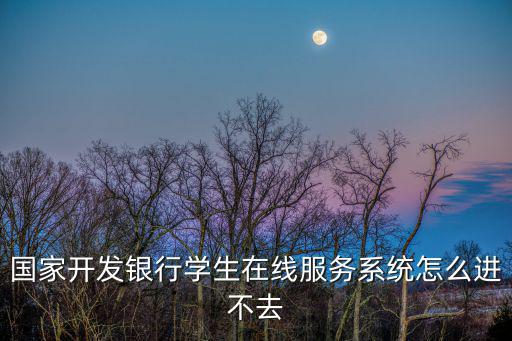 國家開發銀行學生在線服務系統怎么進不去