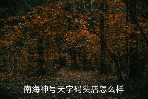 南海神號天字碼頭店怎么樣
