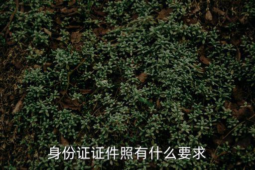身份證證件照有什么要求