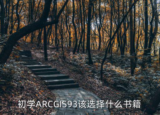初學ARCGIS93該選擇什么書籍