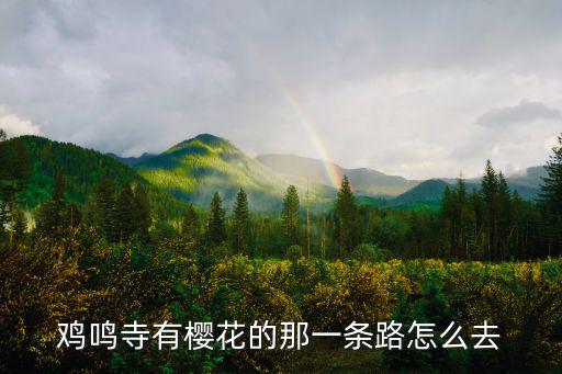 雞鳴寺有櫻花的那一條路怎么去