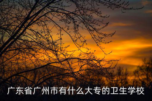 廣東省廣州市有什么大專的衛生學校
