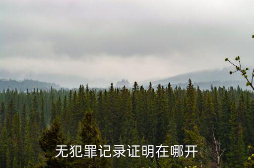 無犯罪記錄證明在哪開
