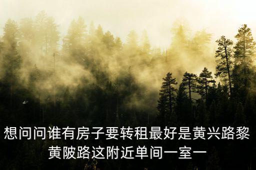想問問誰有房子要轉租最好是黃興路黎黃陂路這附近單間一室一