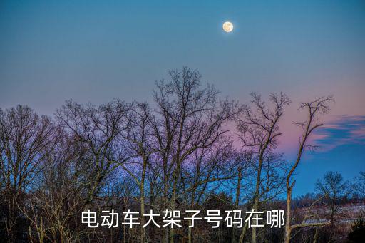大架號，電動車大架子號碼在哪