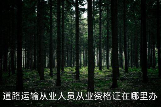 道路運輸從業人員從業資格證，道路運輸從業人員從業資格證在哪里辦