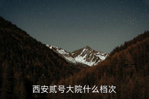 西安貳號大院什么檔次
