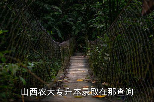 專升本錄取查詢，怎樣看自己專升本考試被錄取了沒我是山西的一名考生