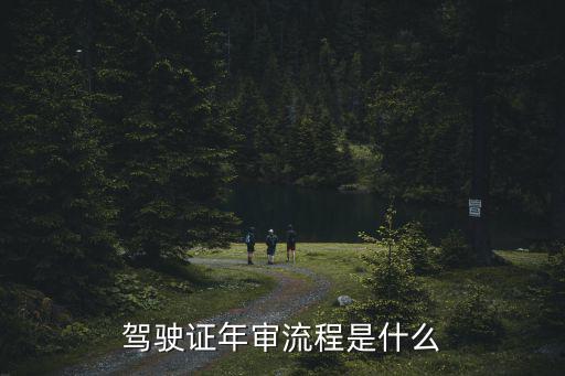 駕照年審，機動車駕駛證年度審檢