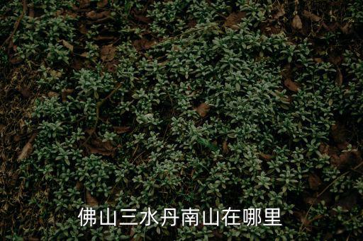 佛山三水丹南山在哪里