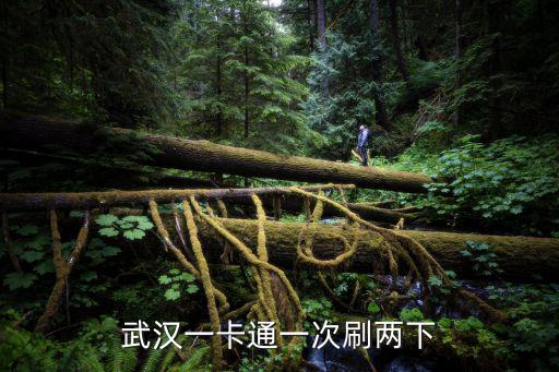 武漢一卡通一次刷兩下