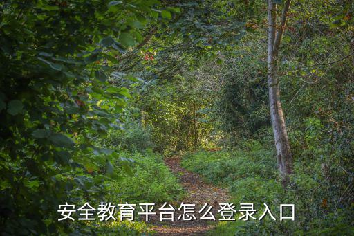 安全教育平臺登錄入囗，安全教育平臺怎么登錄入口