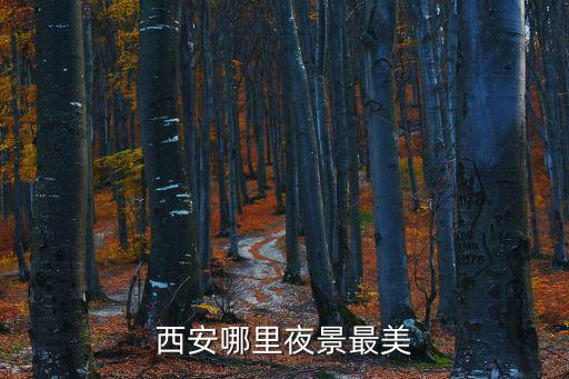 西安哪里夜景最美