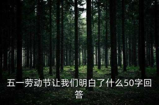 五一勞動節讓我們明白了什么50字回答
