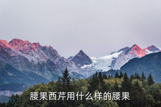 腰果西芹，腰果西芹用什么樣的腰果