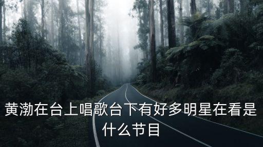 黃渤愛與愁，中國好聲音第三季黃渤唱的什么歌